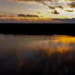 carré strict cheveux fins